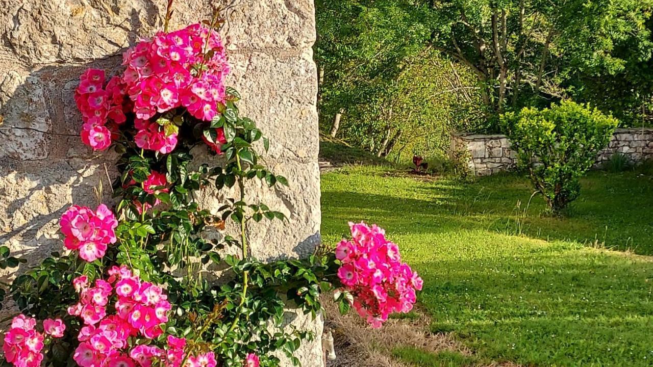 Manoir Le Moulinal47 - Vue Panoramique 호텔 Courbiac 외부 사진